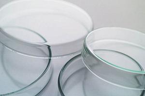 経鼻内視鏡を使用した検査も可能です