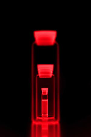 東京でインプラント治療を行うのであれば