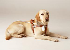 浜松で子どもの予防接種を安全に済ませる