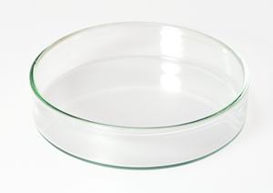 歯医者選びのポイントとは？センター北周辺で信頼性の高い歯科医院を見つける方法