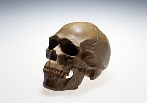 時間がない人も相談できる芦屋市の歯科