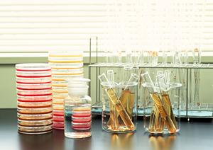 川越で矯正歯科が人気の理由とは